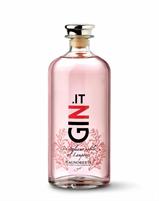 Gin.it Gin Italiano Nobile al Lampone 41° cl.70