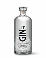 Gin.it Gin Italiano Nobile Botanico 41° cl.70