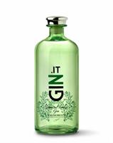 Gin.it Gin London Botanical Gin 41° cl.70