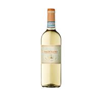 Salviano Orvieto Classico 2020 13,5° cl.75