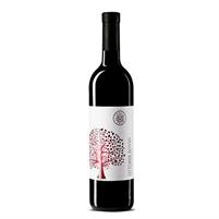 Tenuta I Fauri Magnum Ottobre Rosso Montepulciano d'Abruzzo cl.150