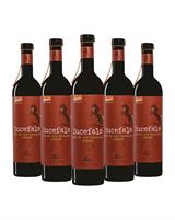 Orsogna Bucefalo Rosso Cassa 6 Bottiglie Vino Rosso 14° 1x6