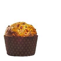 Infermentum Panettone Tradizionale Kg.1 Lievito Madre