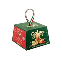 Galup Mini Panettone Tradizionale gr.100