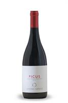 Simone Capecci Magnum Picus Rosso Piceno Superiore DOP 13° cl.150