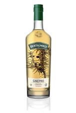 Bertagnolli Ginepro Grappa Alle Erbe di Montagna 42° cl.70 Trentino